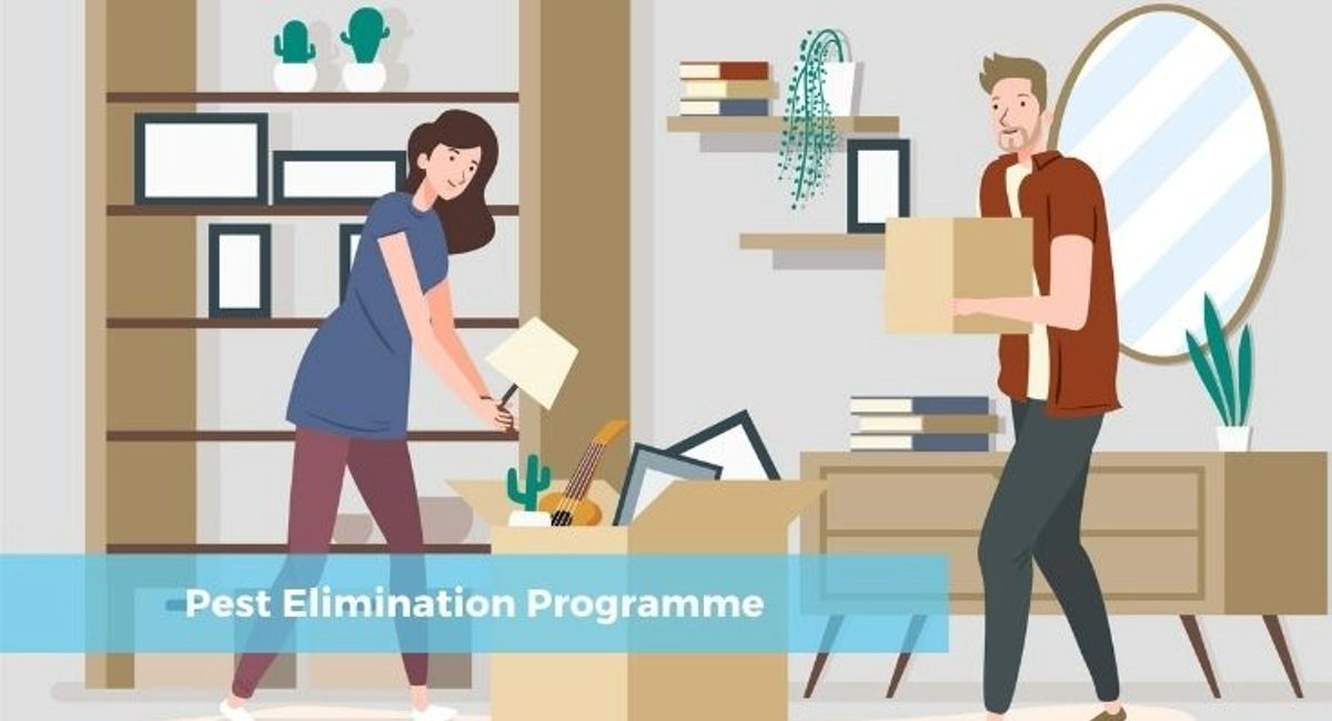 Debugged Blog Eight Pest Hideouts Elimination Programmes