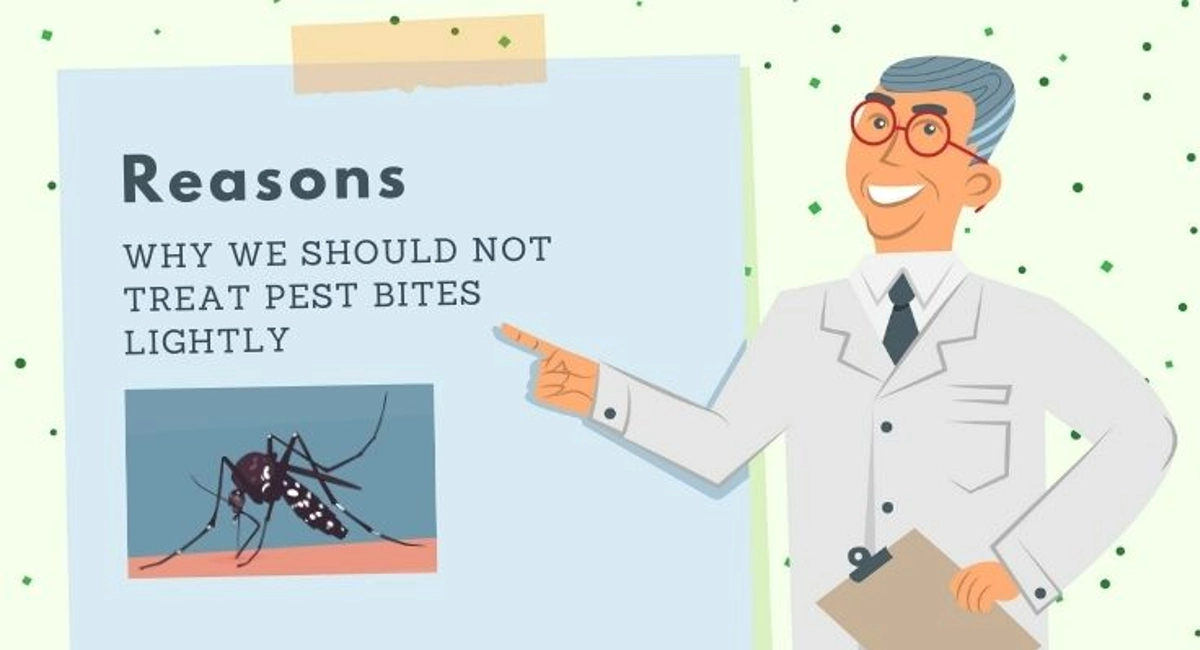 Debugged Blog Seven Pest Bites You Need To Know Managing Pest Bites