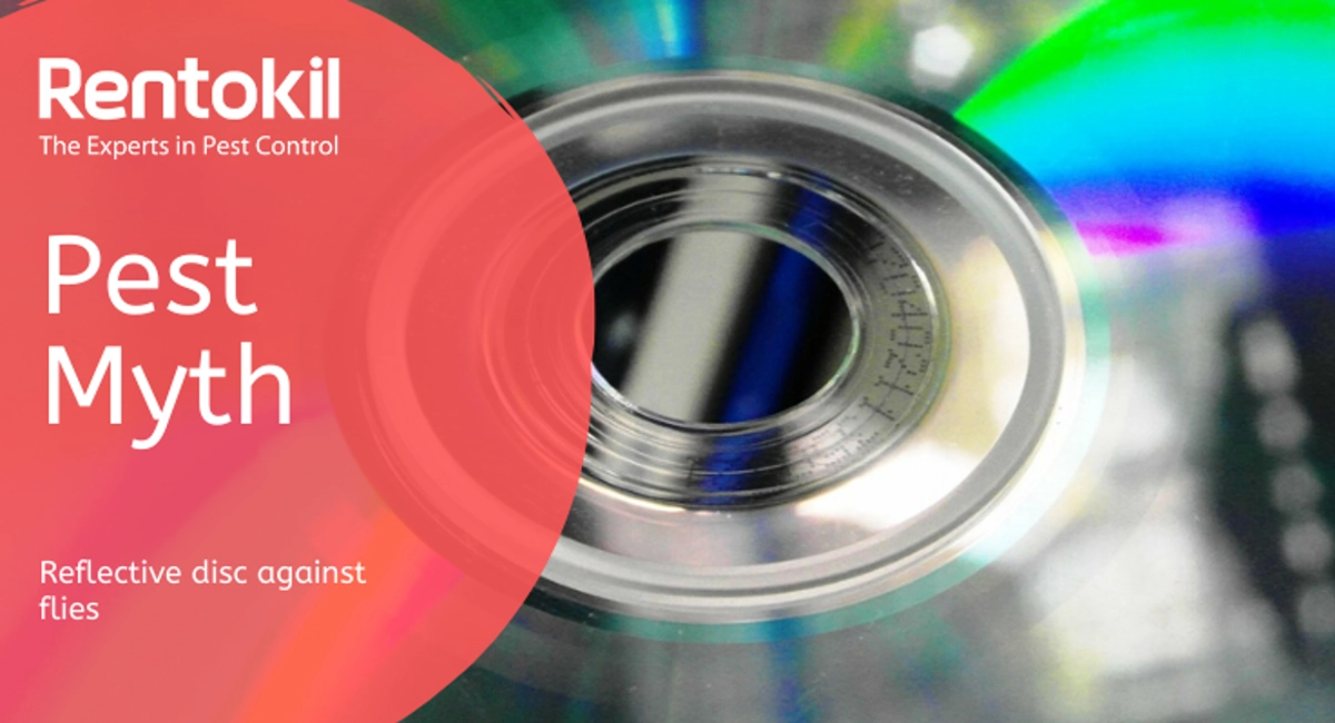 Rentokil Pest Myth Using Reflective Disc against Flies