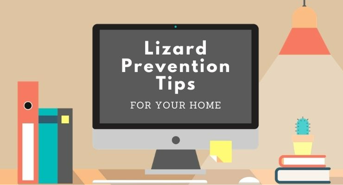 Debugged Blog Five Reasons We Dislike Lizards Prevention Tips