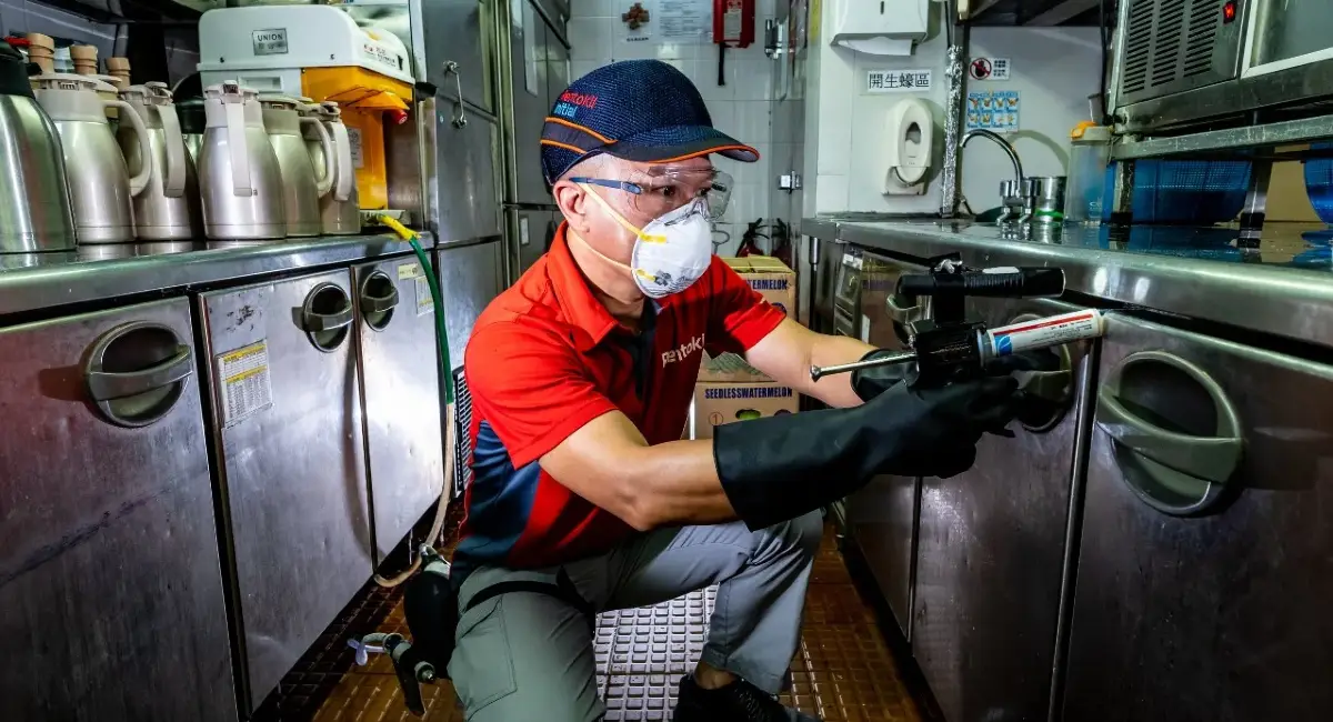 rentokil-hk-image-technician