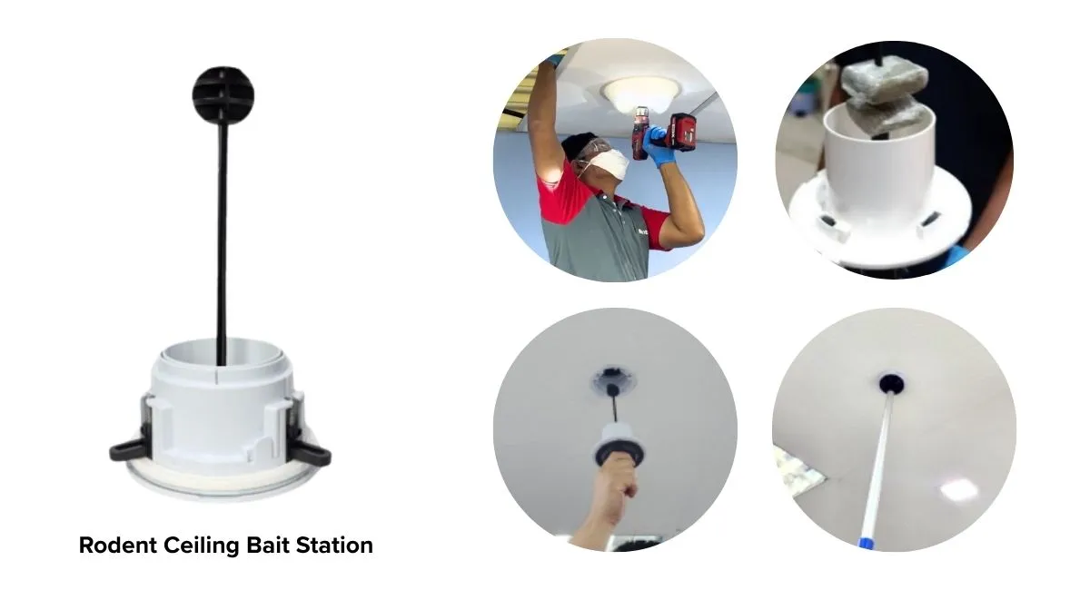 Rentokil Ceiling Bait Station