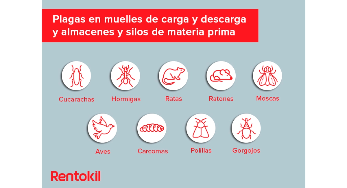 plagas en muelles de carga y descarga y almacenes y silos de materia prima