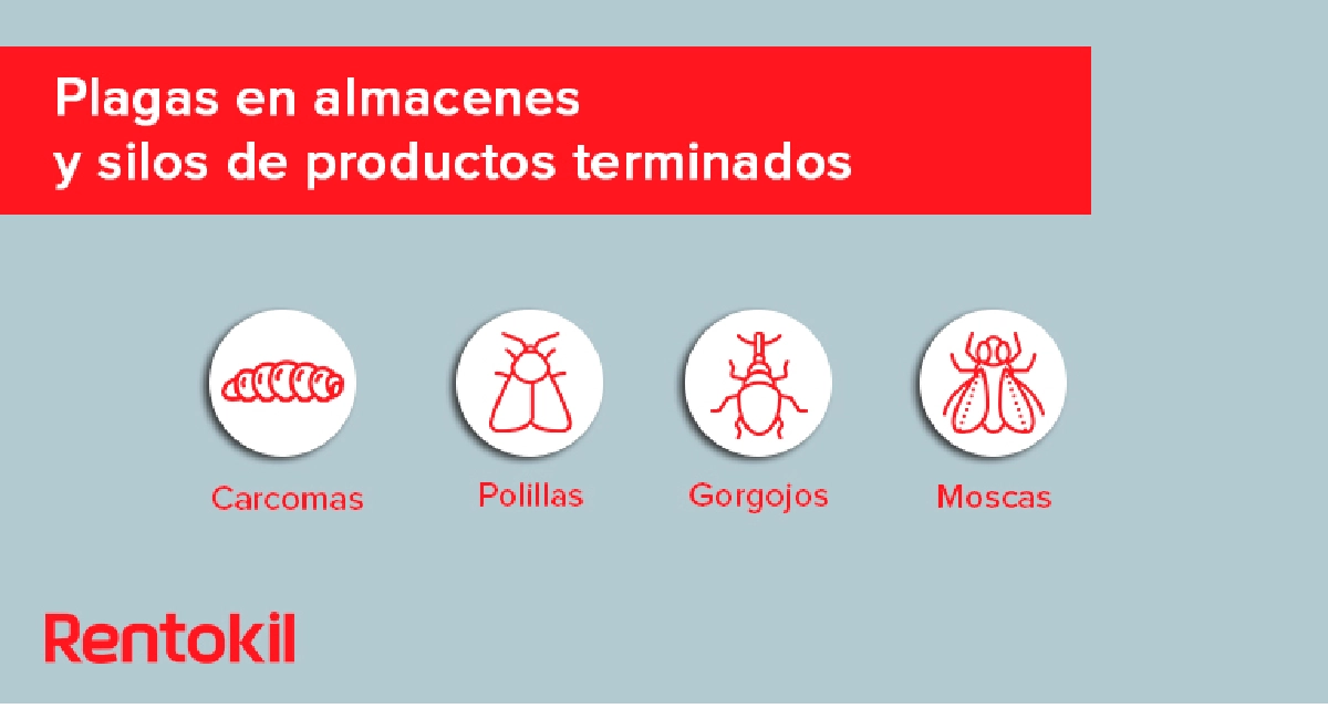 plagas en almacenes y silos de productos terminados