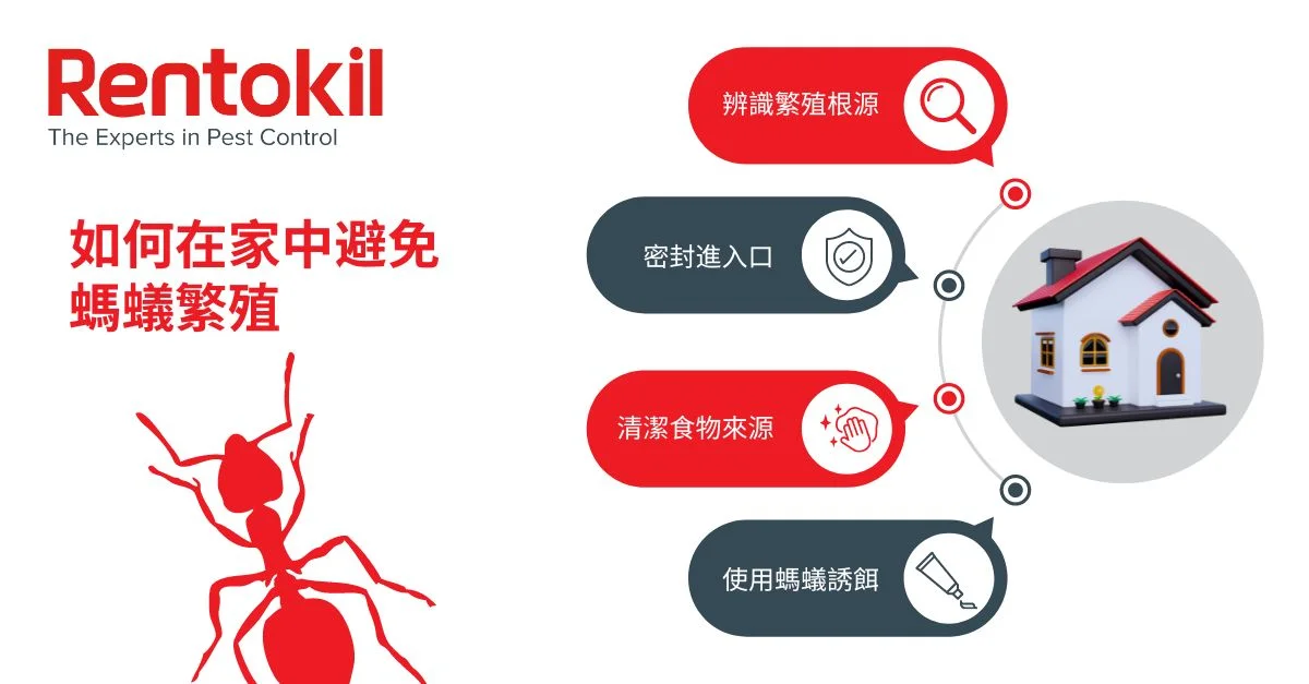 蟻群侵入路徑