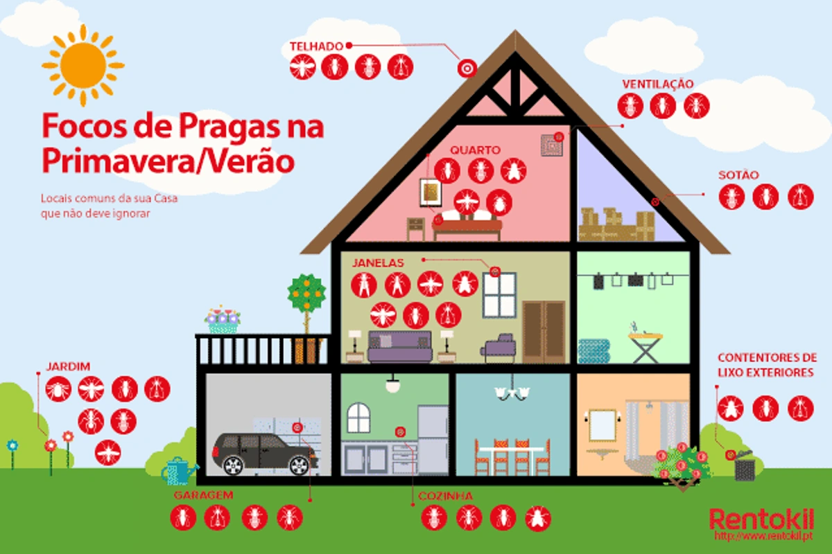 Dicas para prevenção de pragas na primavera e no verão