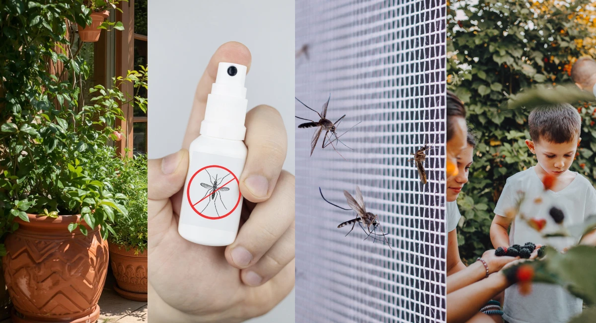 como-evitar-picadas-de-mosquitos