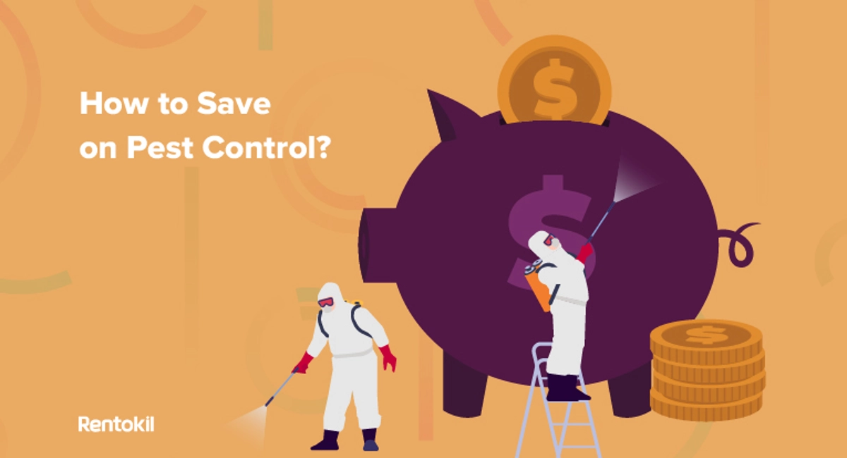 How to save on pest control