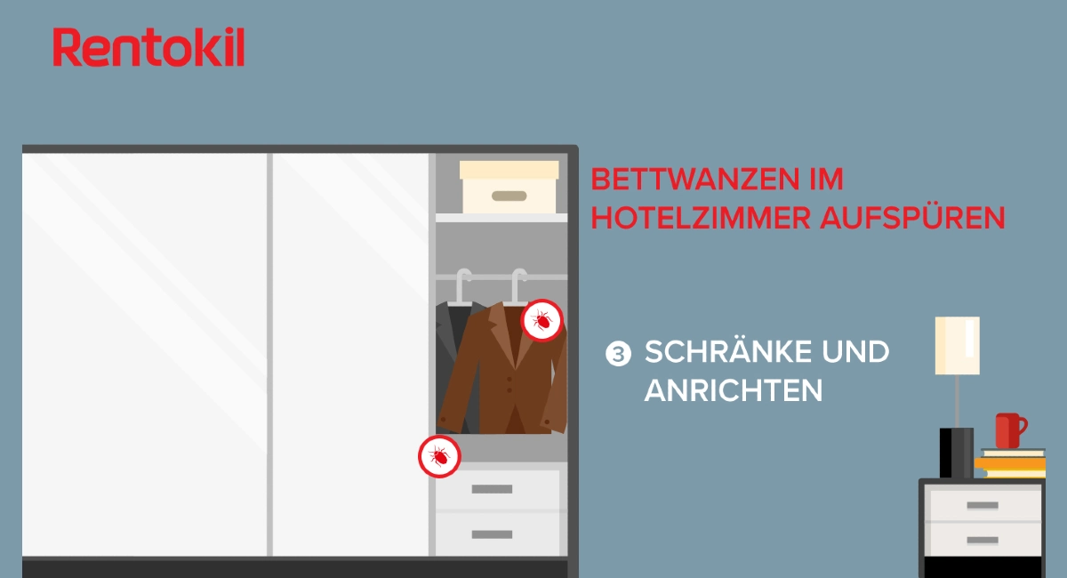 Bettwanzen im Hotel erkennen im Schrank