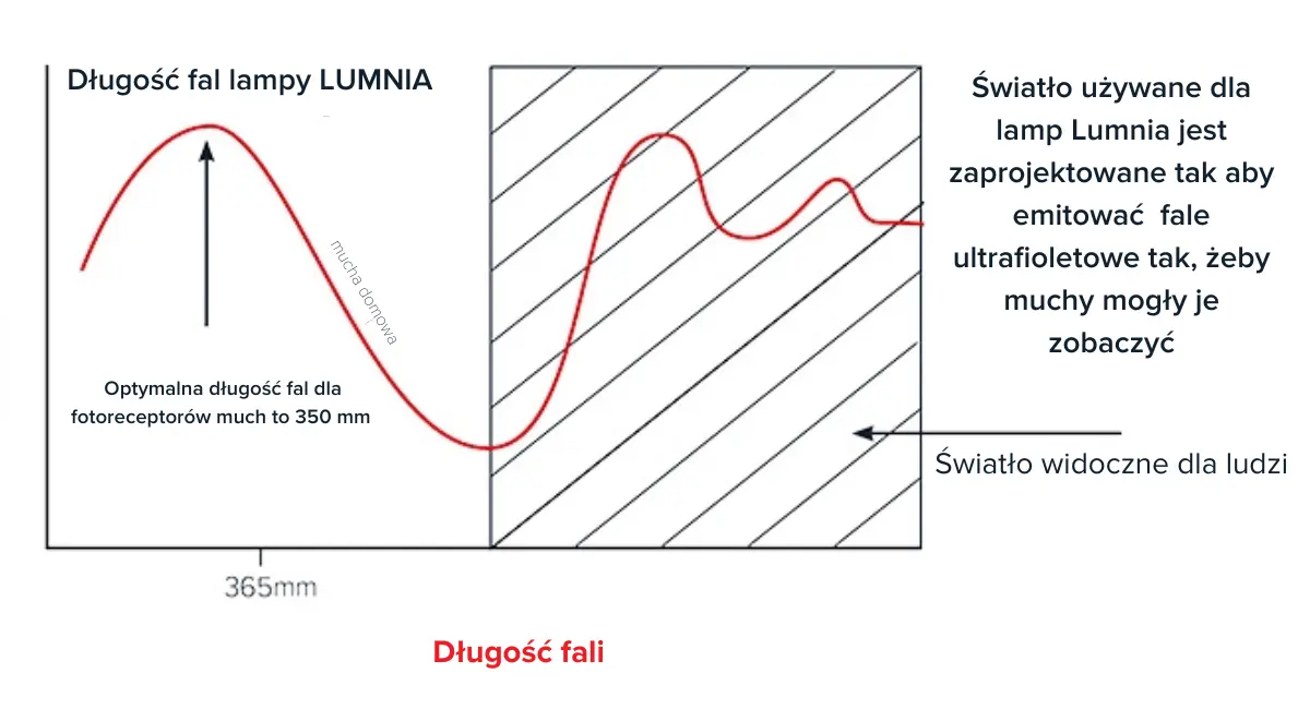Dlaczego lampy LED są lepsze niż świetlówki?