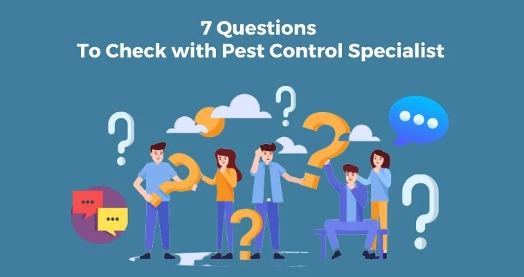 7 Questions To Ask Pest Control Specialist
