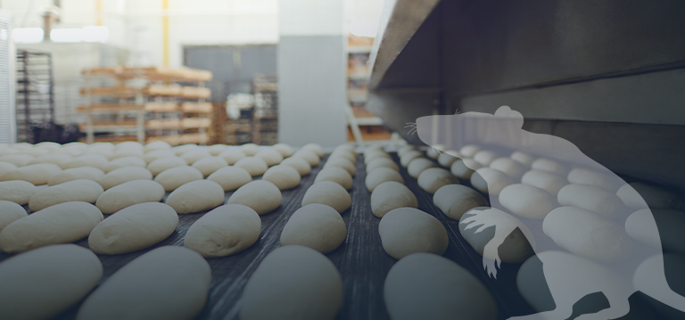 Produktion ohne Schädlinge, Mäuse, Ratten