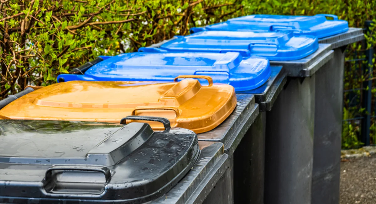 Row of trash bins