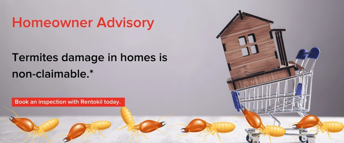 Homeowner advisory