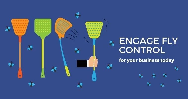 Engage In Fly Pest Control
