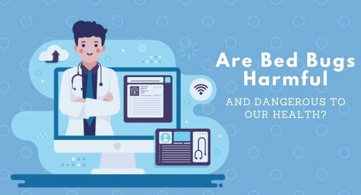 Debugged Blog Ten Questions To Ask About Bed Bug Control Harm and Danger of Bed Bugs