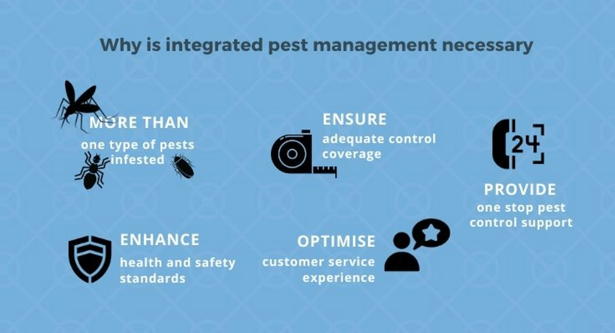 Debugged Blog Article What is An Integrated Pest Control About Why Is Integrated Pest Services Necessary