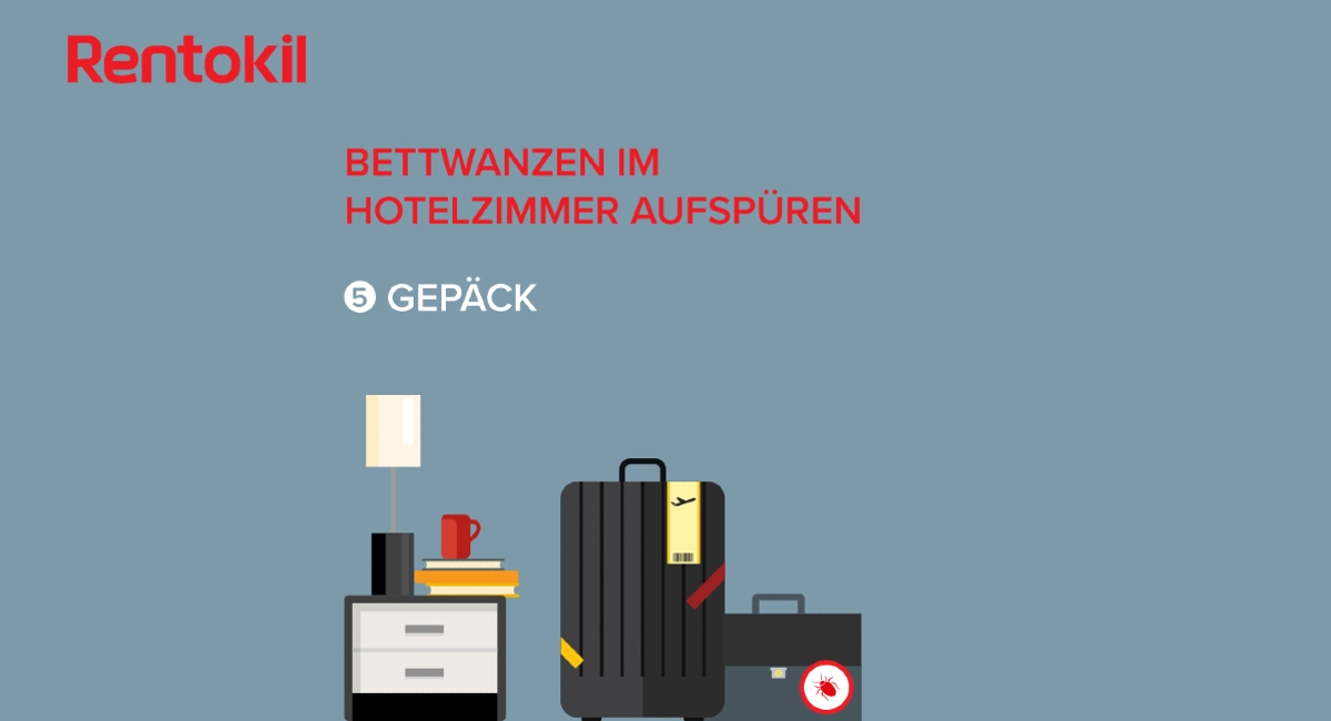 Bettwanzen im Hotel können durch Gepäck übertragen werden
