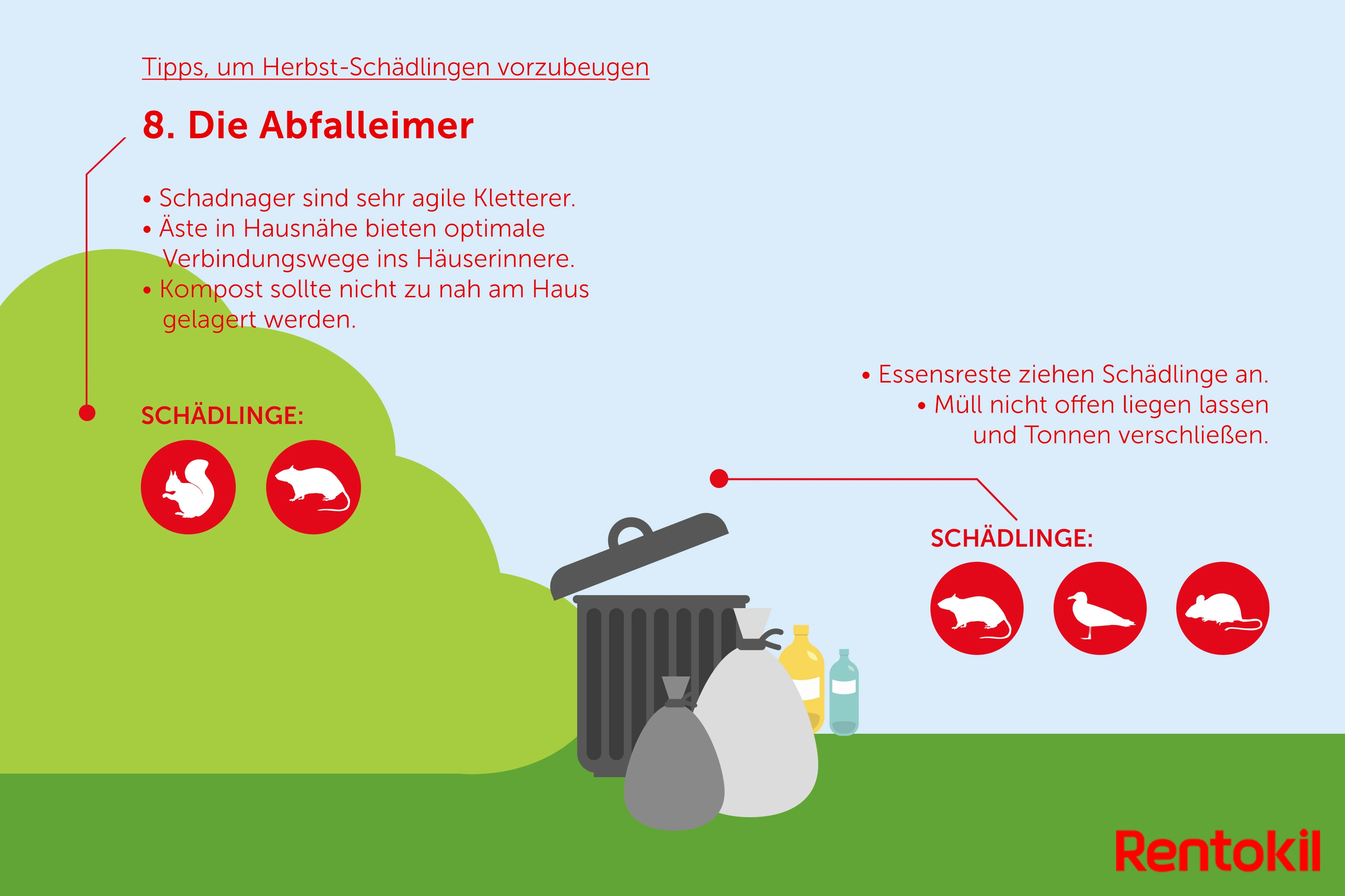 Herbst-Schädlinge: Mäuse, Ratten, Vögel in Abfalleimern