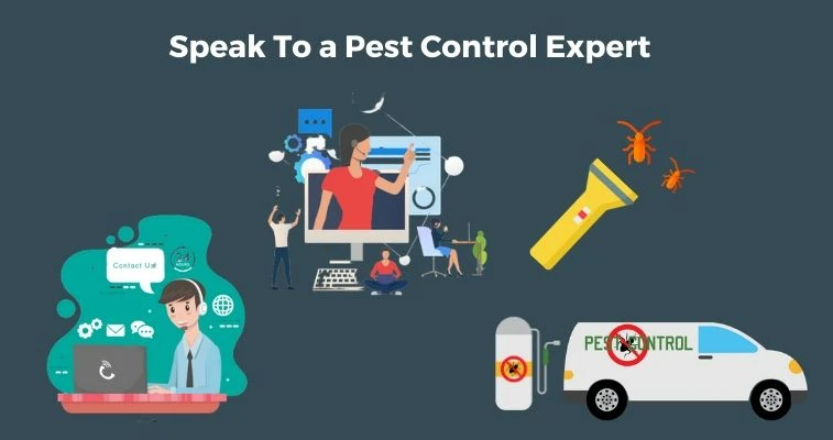 Speak To Pest Control Expert