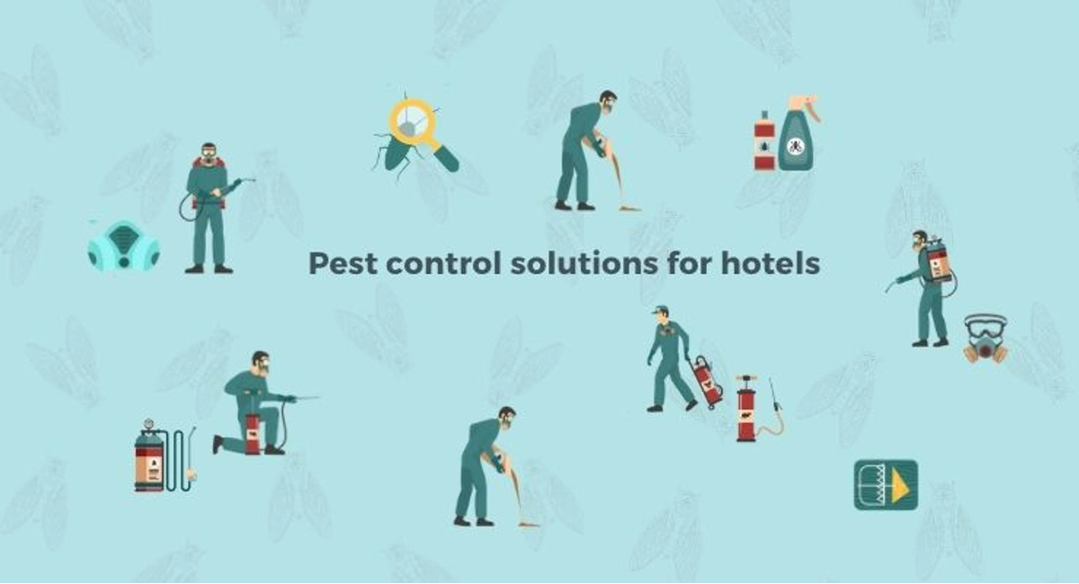 Debugged Blog Dealing With Pests In Hotel Pest Control Solutions
