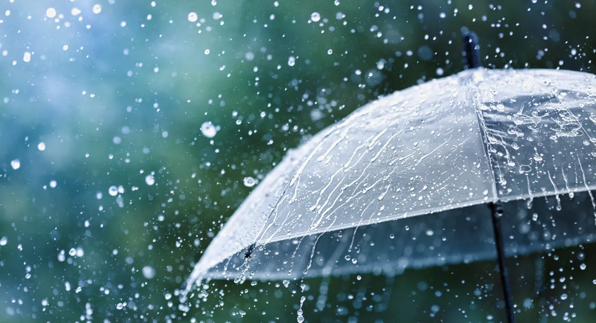 Rainy Weather