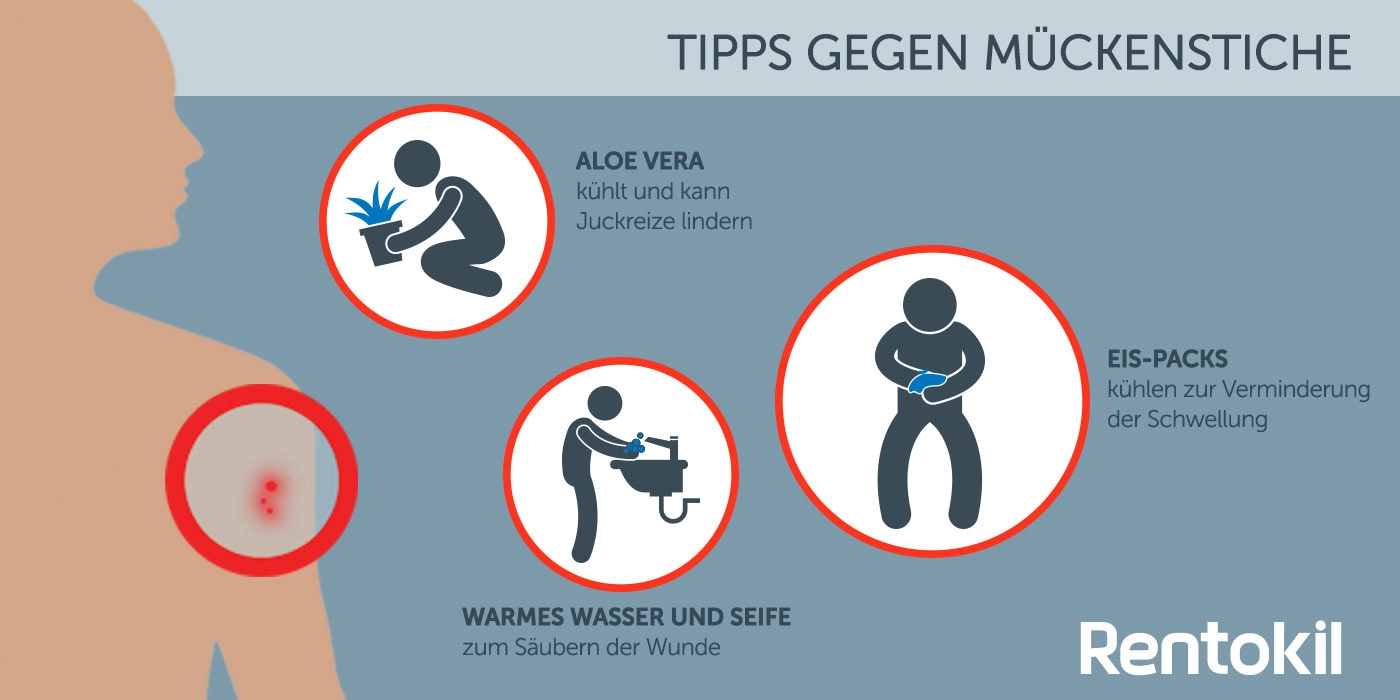 Was kann helfen gegen den Juckreiz nach dem Mückenstich?