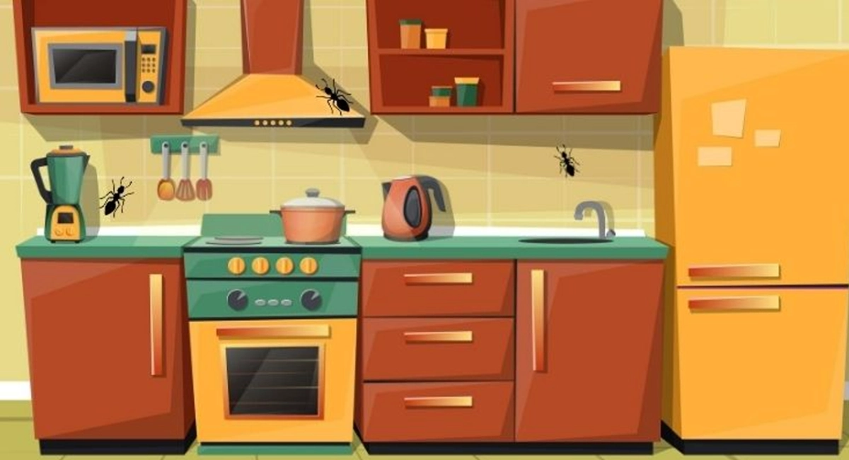 Debugged Blog Pest Home Remedies To Get Rid of Ants Kitchen Hot Spot For Ants