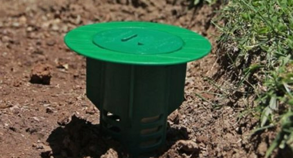 Termite baiting in ground