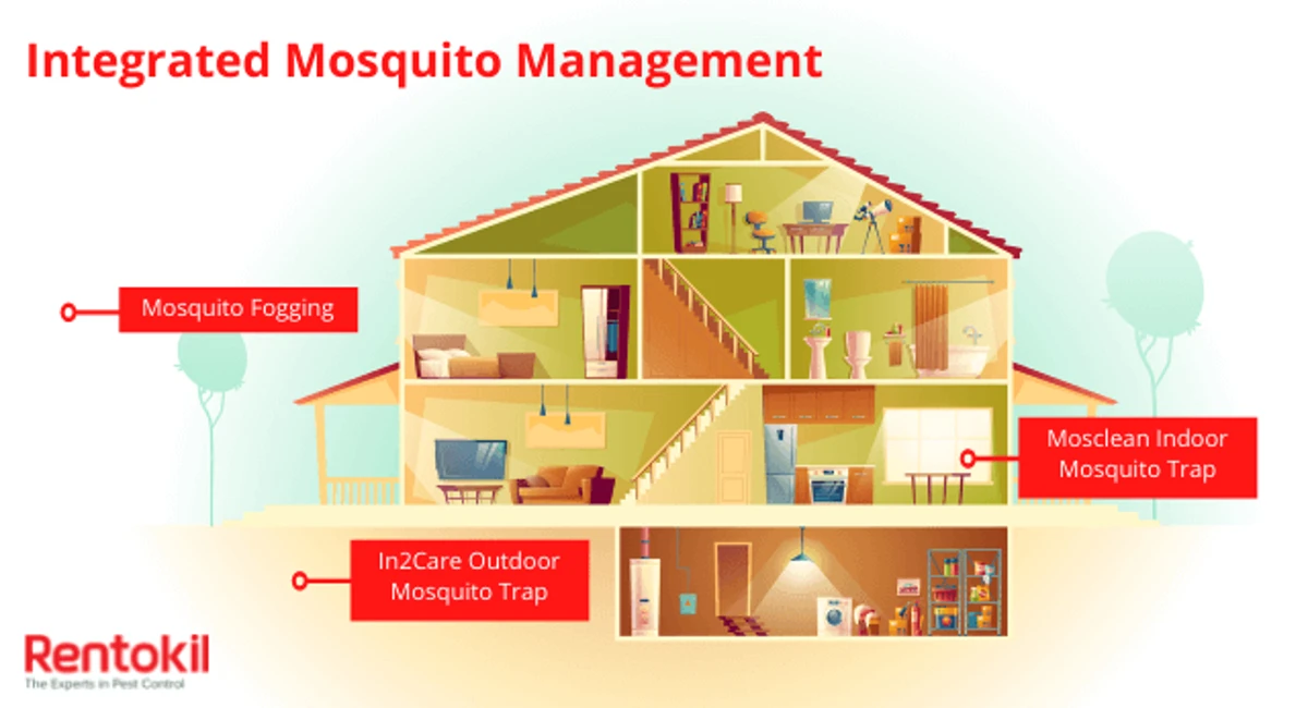 Integrated mosquito management