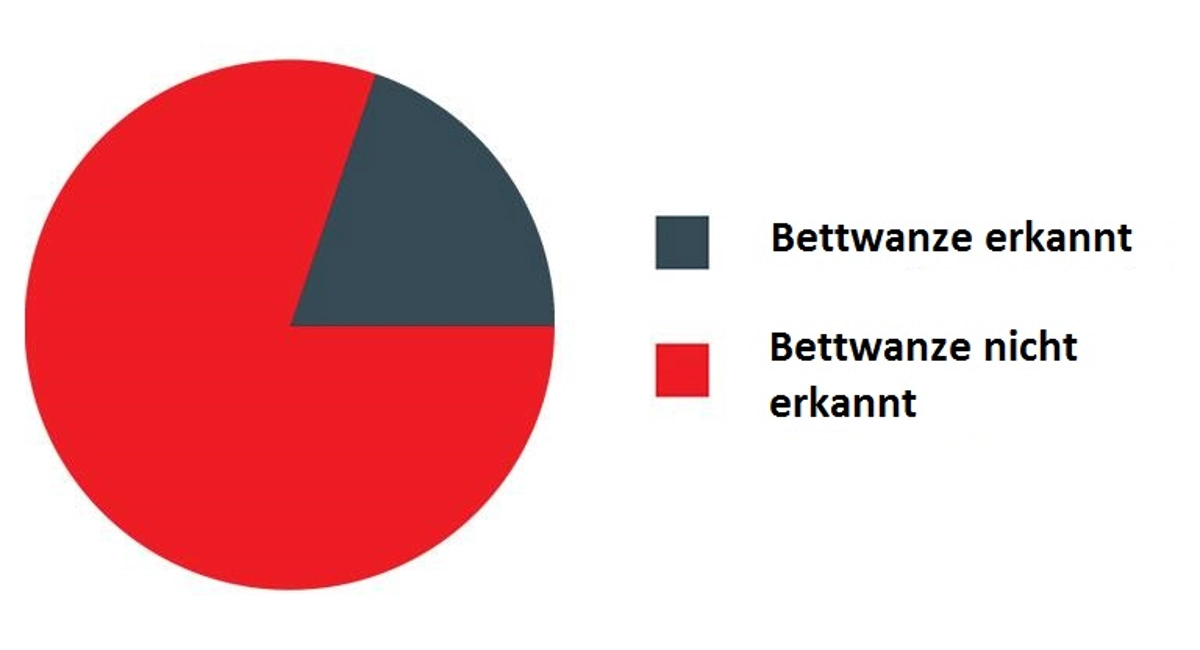 Bettwanzen Studie - Kennen Reisende die Bettwanzen?