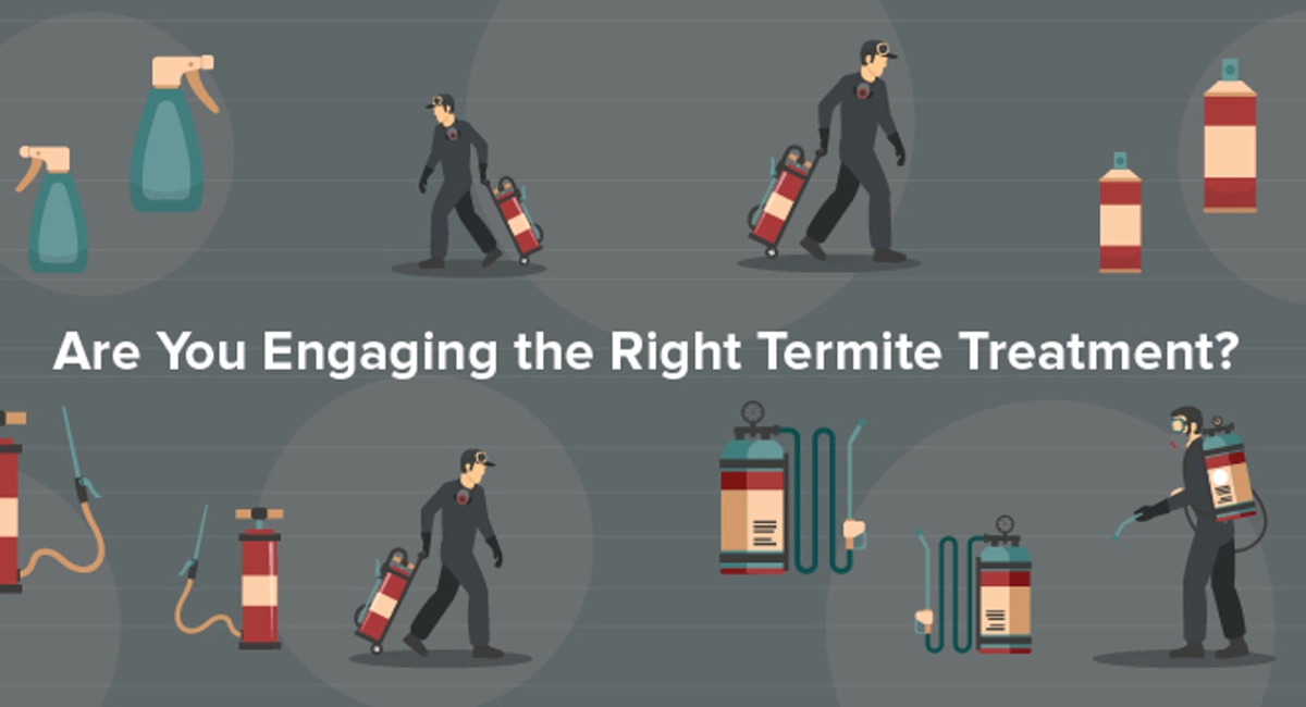 Are You Engaging the Right Termite Treatment