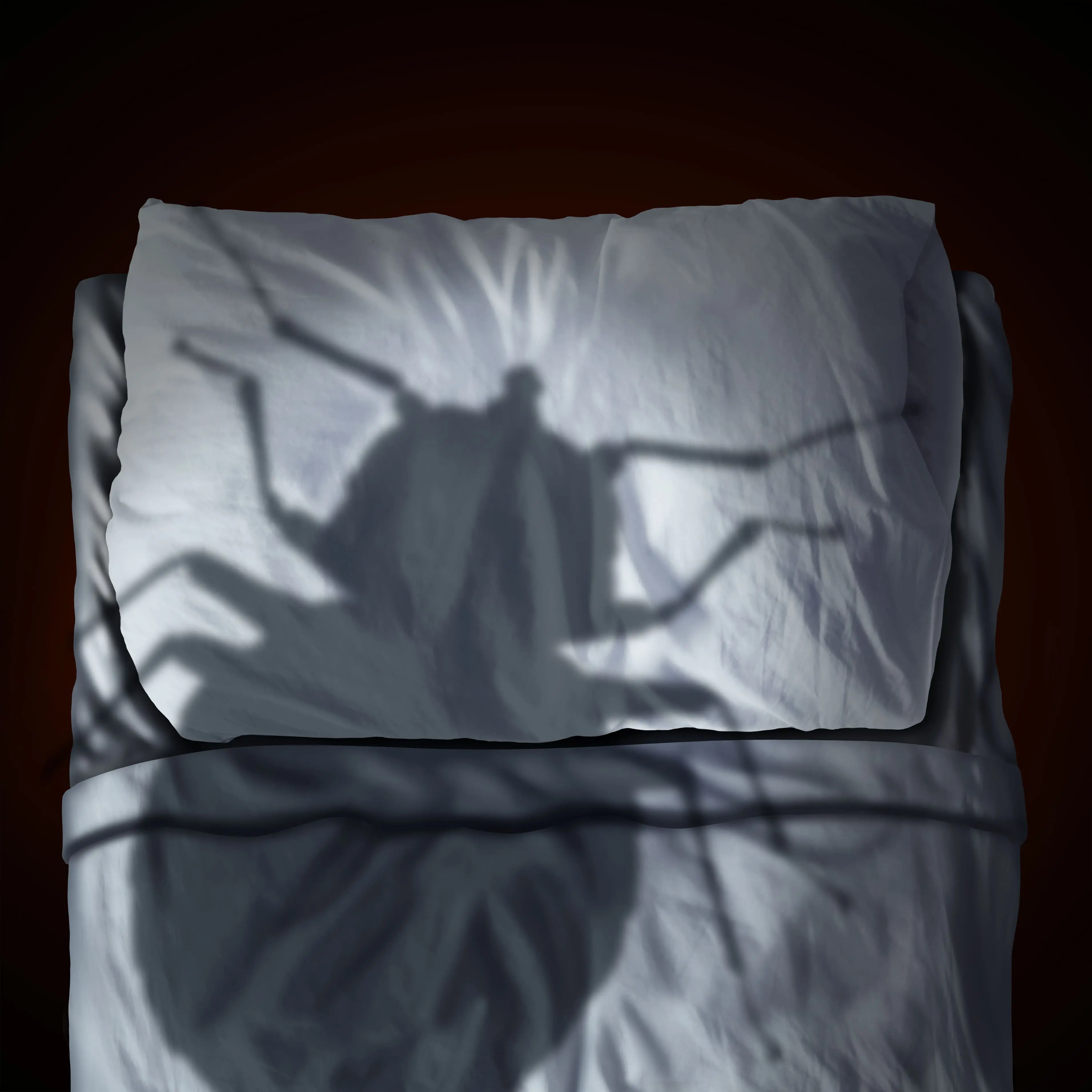 Wasp nest