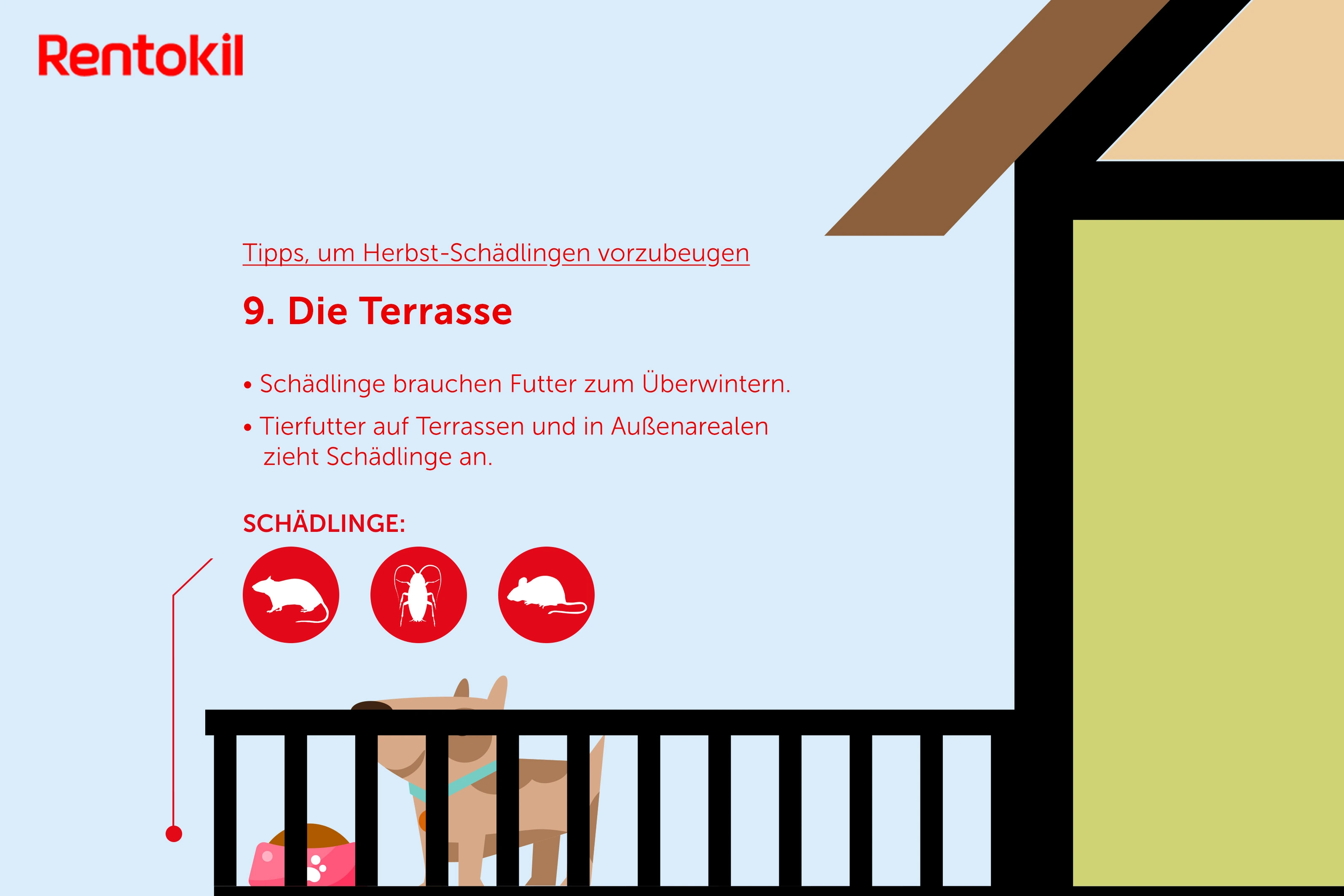 Herbst-Schädlinge: Mäuse, Ratten, Schaben im Tierfutter auf der Terrasse