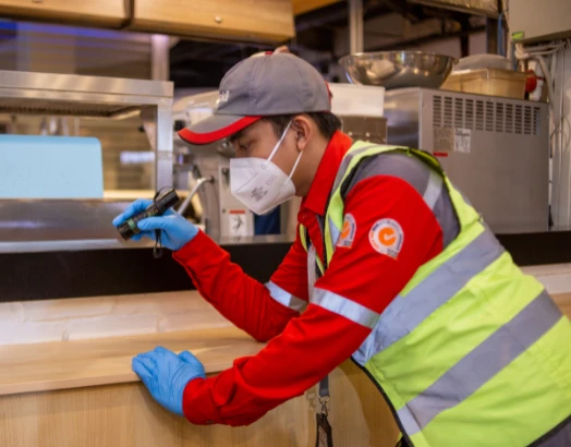 pest-inspection