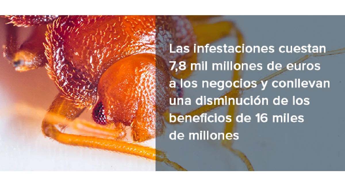 coste de infestaciones de plagas