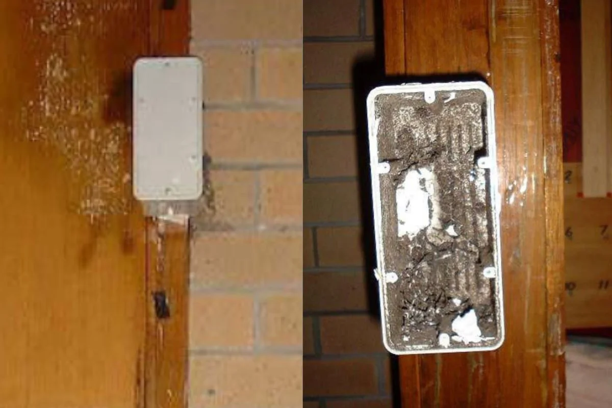 Professional termite baiting box