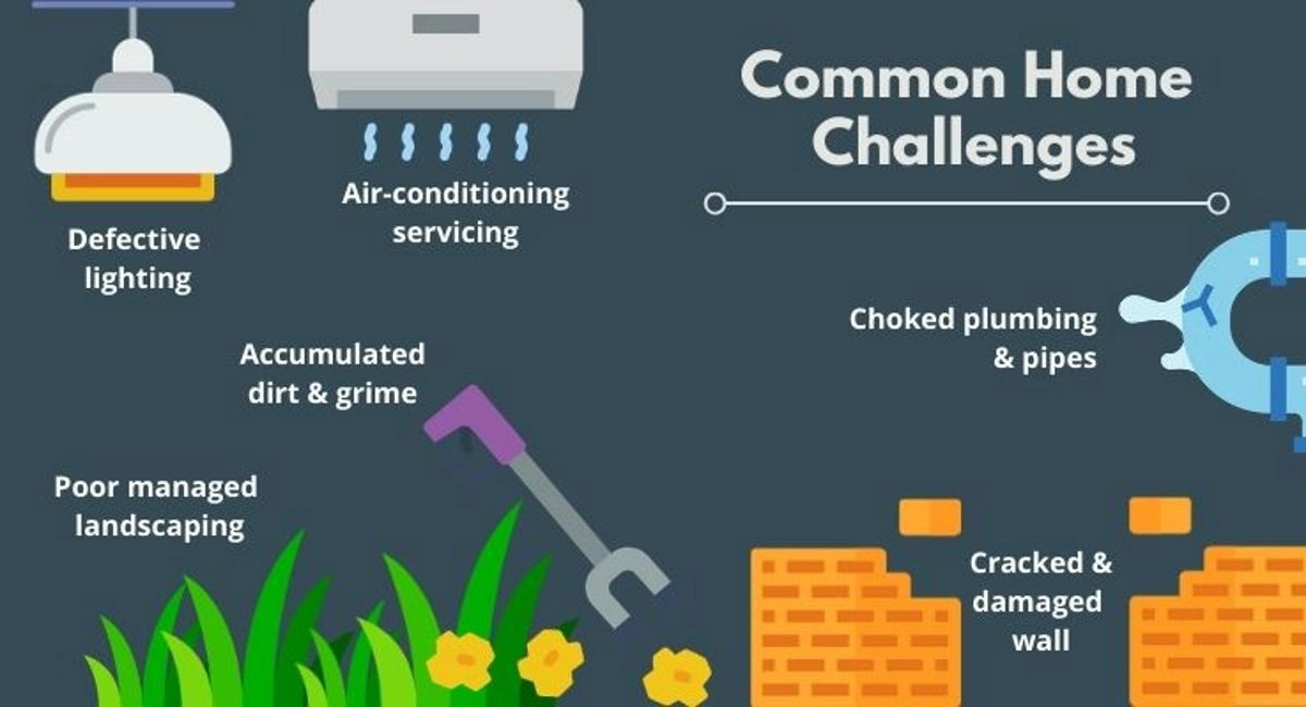 Debugged Blog Article Essential Guide to Home Pest Control Common Home Challenges