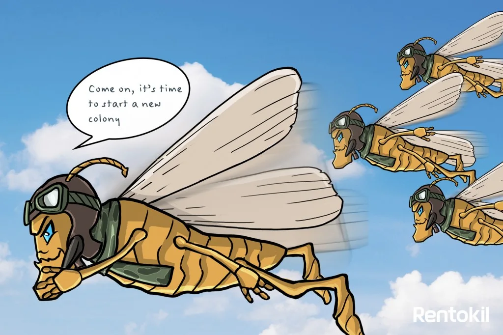 What is the point of flying termites