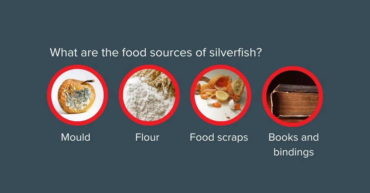 Food source of silverfish