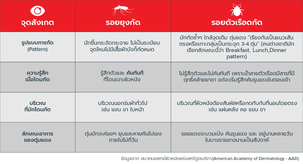 ข้อมูลเปรียบเทียบความแตกต่างระหว่างรอยยุงกัดและตัวเรือดกัด เร็นโทคิล
