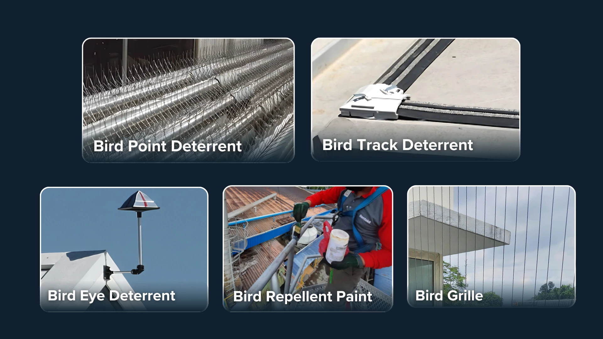 bird-proofing