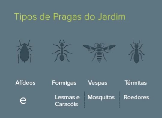 tipos de pragas do jardim