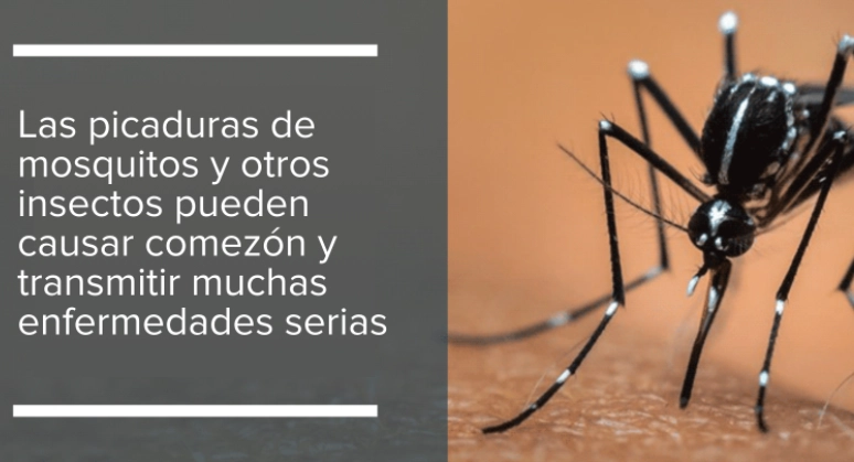 Trucos para prevenir las plagas de mosquitos en casa