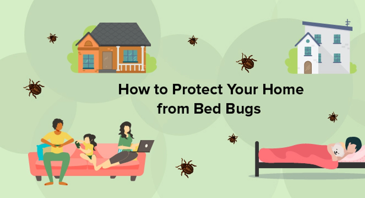 How to protect your home from bed bugs