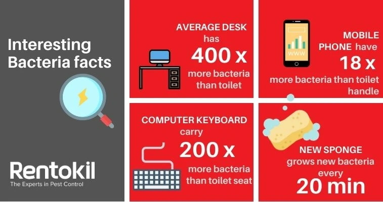 6 Reasons Why Surface Sanitisation and Hygiene is Essential Interesting Bacteria Fact