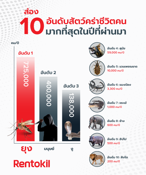 ยุง สัตว์นักฆ่าอันดับ1
