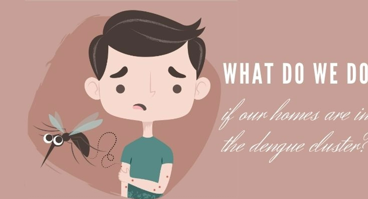 Debugged Blog Facts of Dengue Cluster In Singapore Factors Affecting Dengue