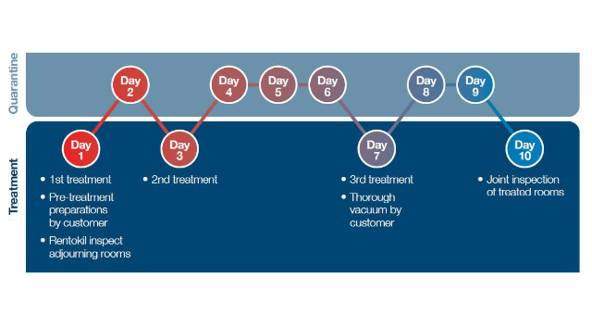 Bed Bug Diagram