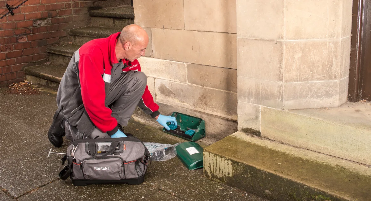 Bait Box Colleague